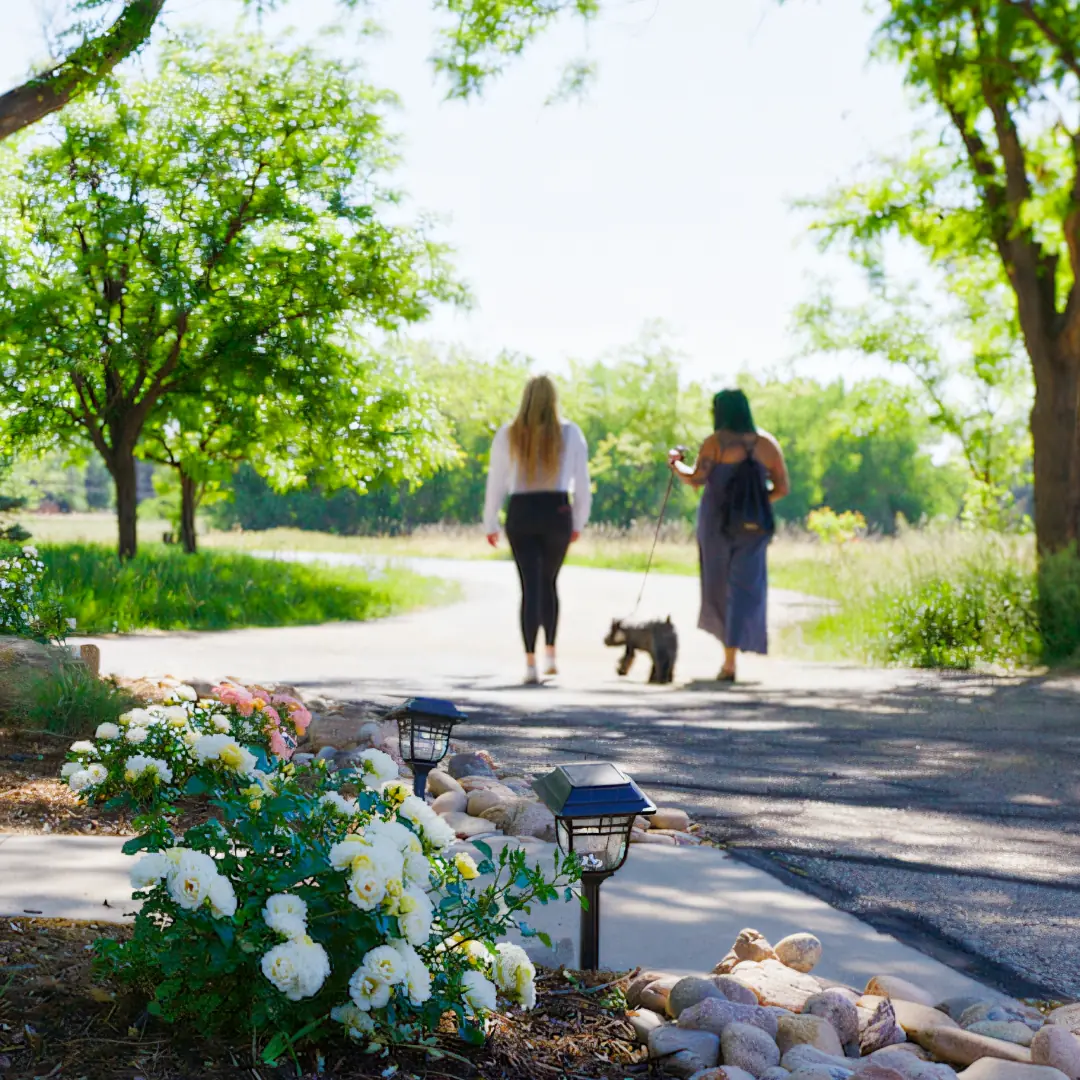 Mental Health | The Rose House